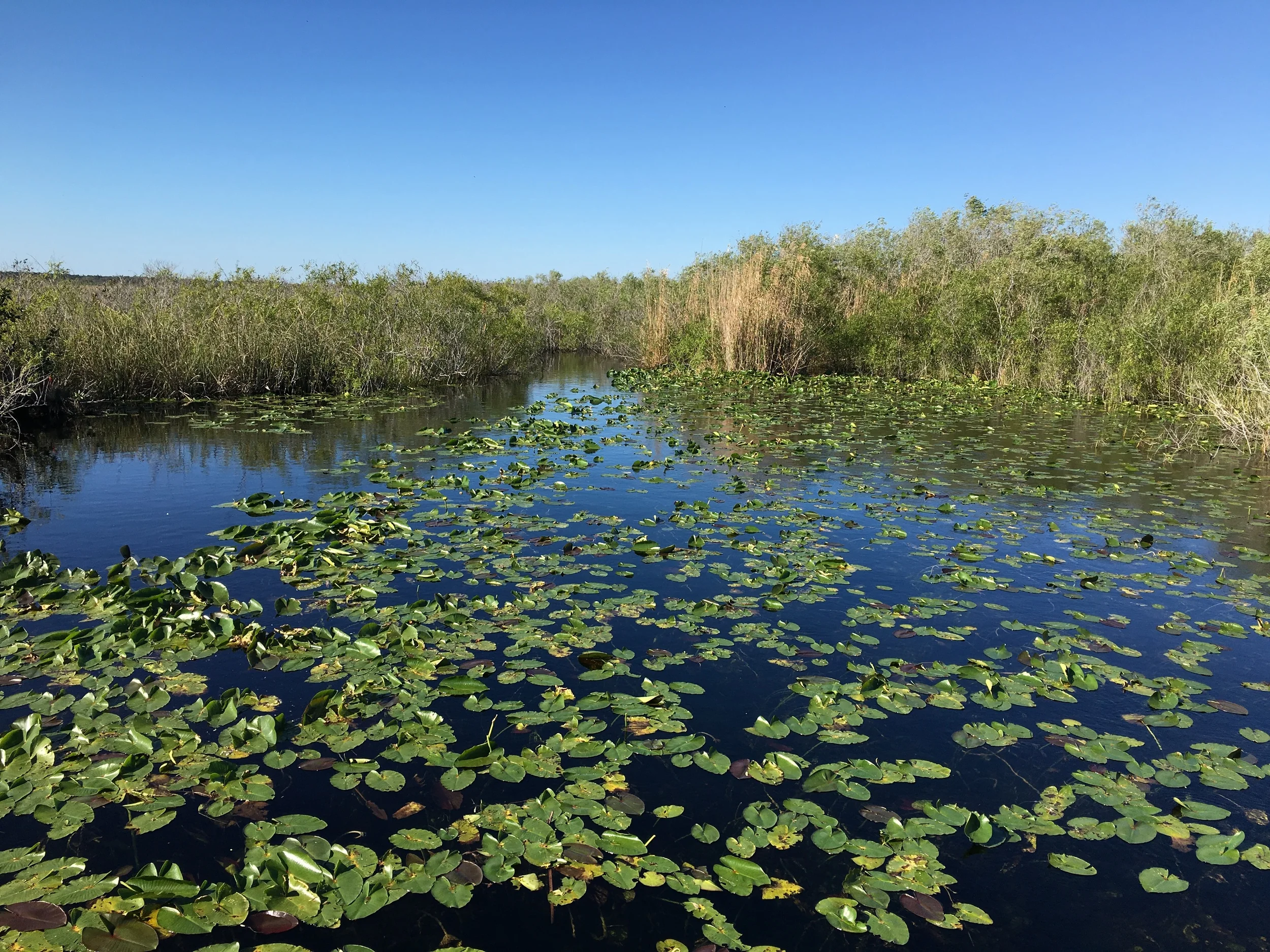 Everglades National Park, photo by Derek Wright.