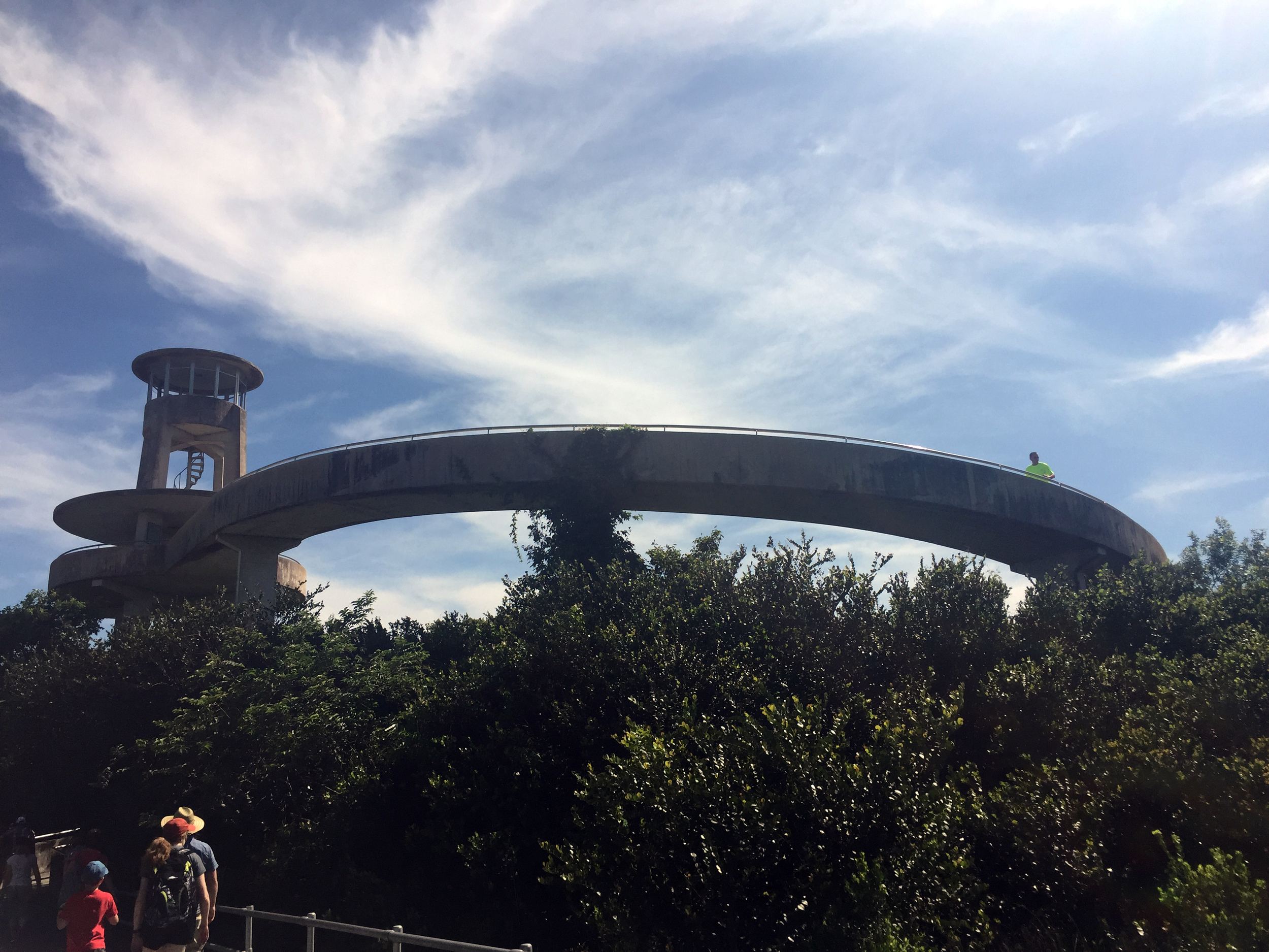  Shark Valley Observation Deck, photo by Amy Beth Wright. 