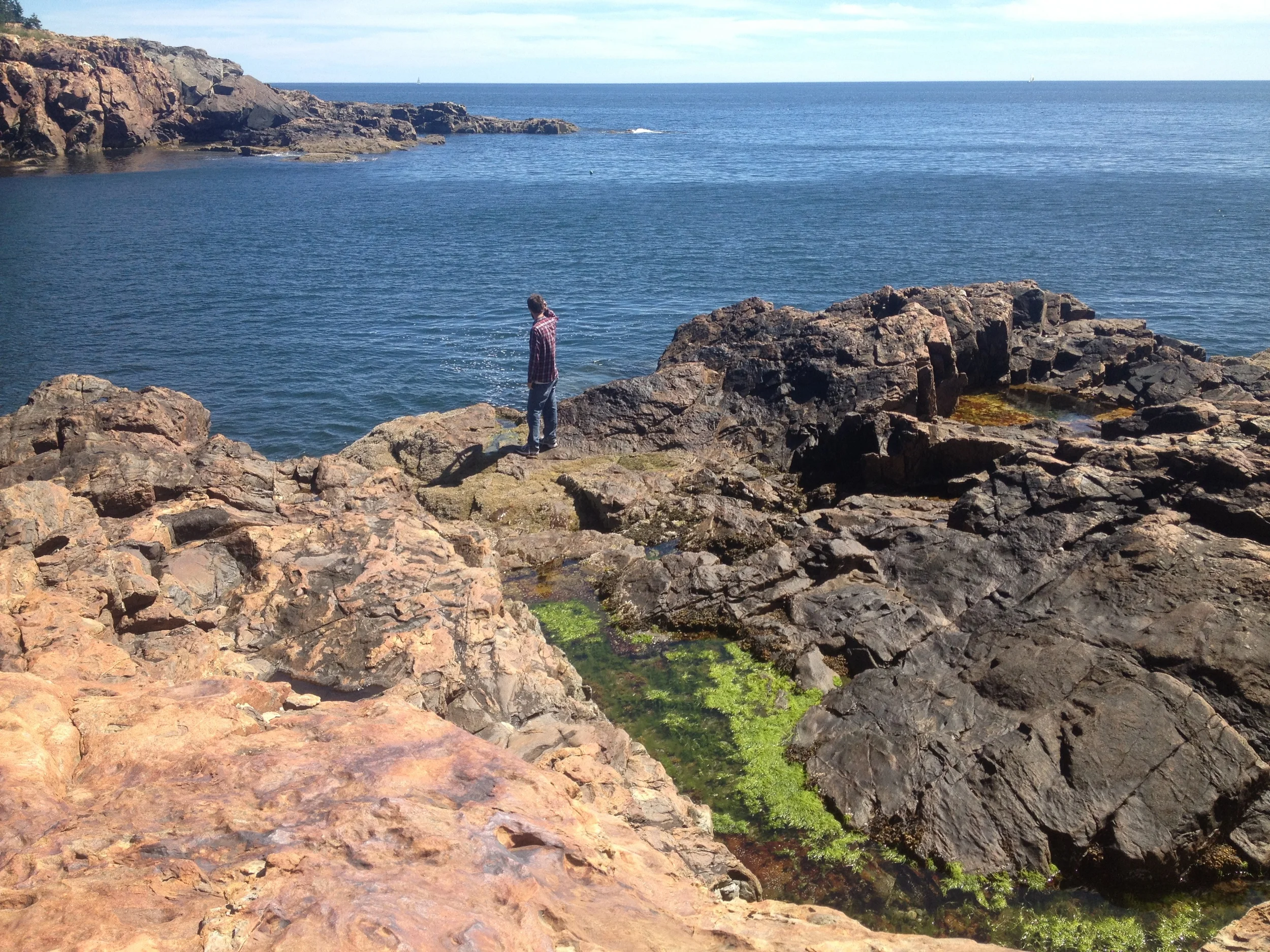 View from Otter Cliff, photo by Amy Beth Wright.