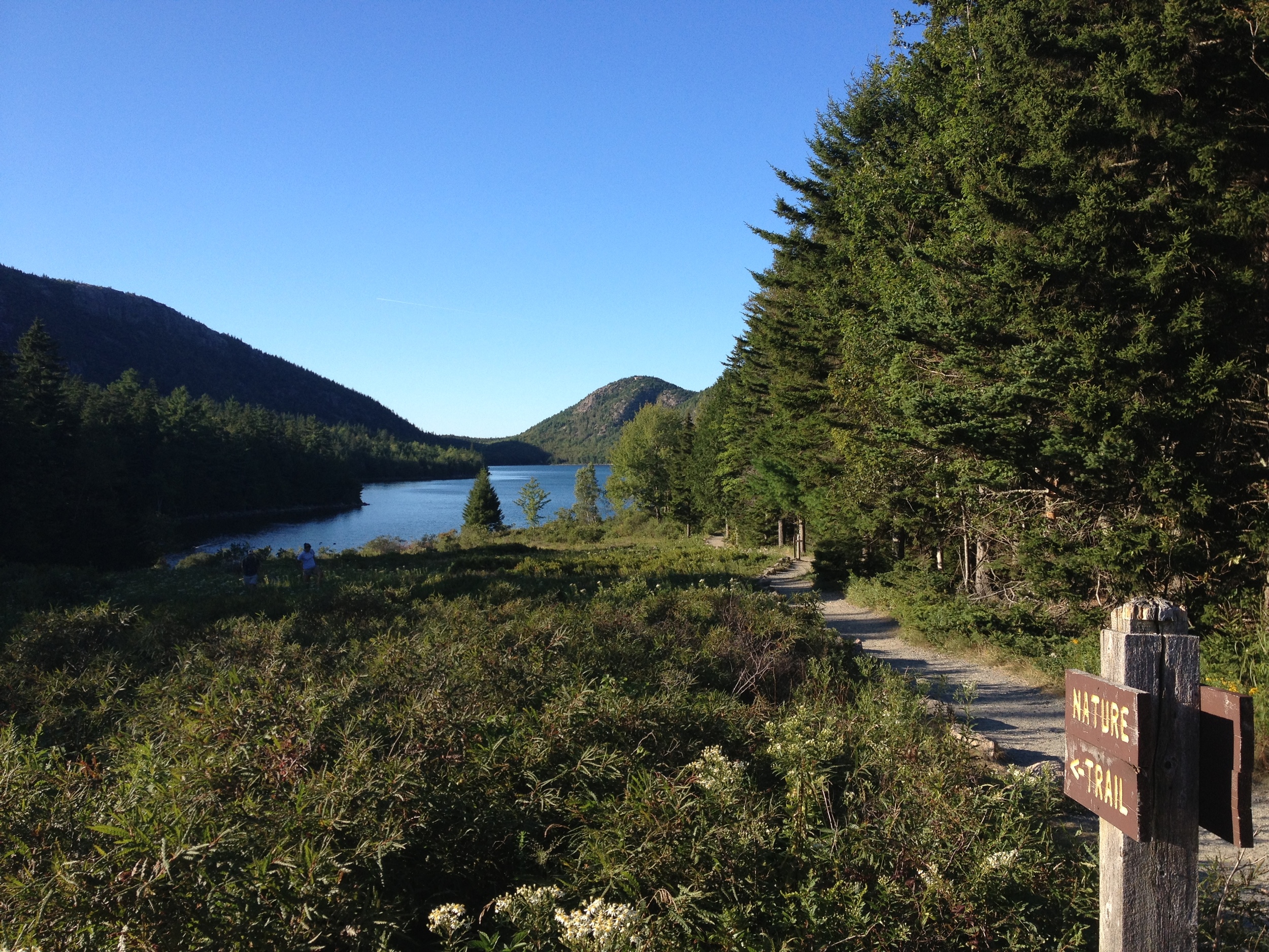 Jordan Pond trail, photo by Derek Wright.