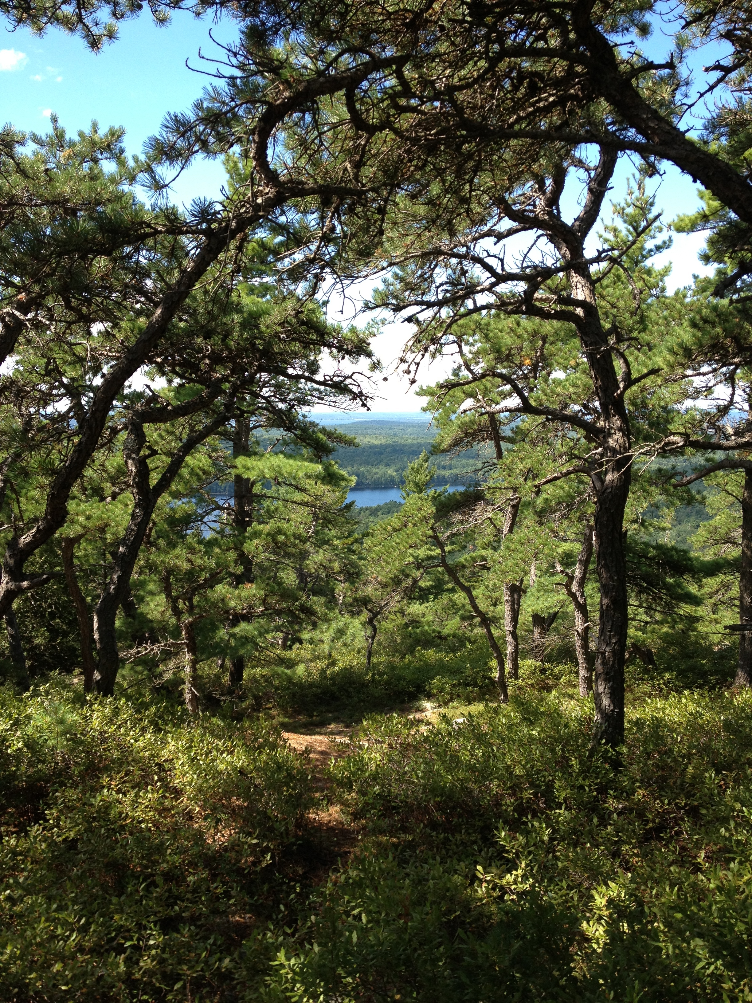 View from Acadia Mountain trail, photo by Derek Wright.