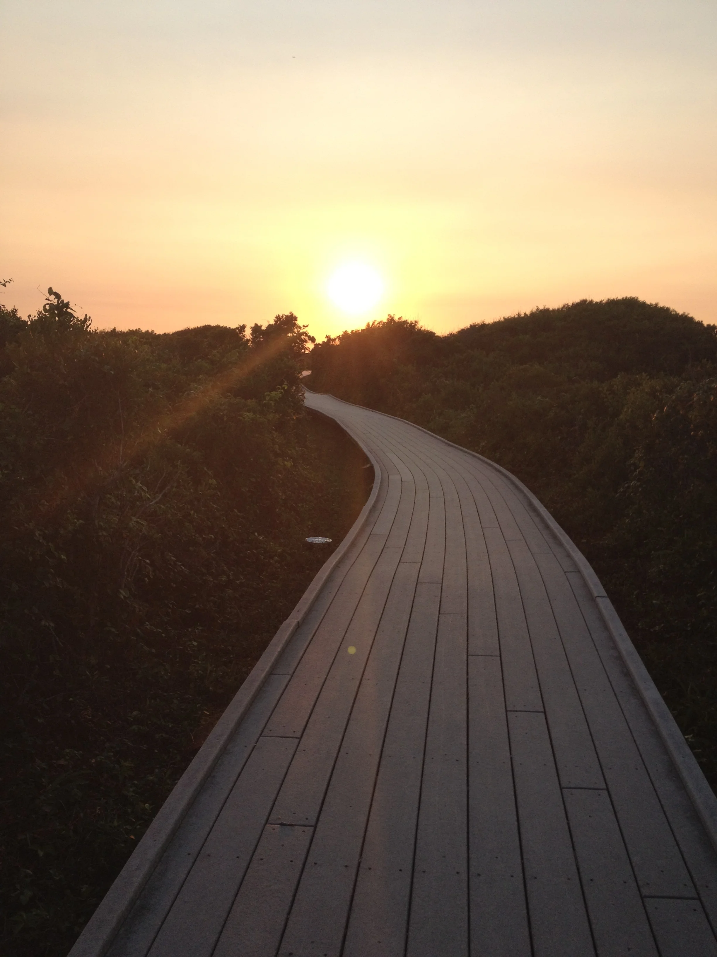 Fire Island National Seashore, photo by Derek Wright.