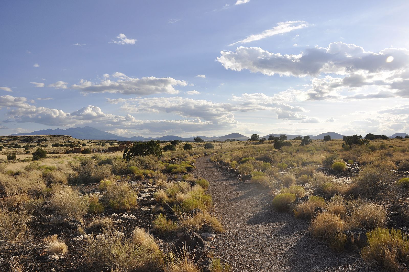 Grasslands of Wupatki National Monument, photo by Jarek Tuszynski / CC BY
