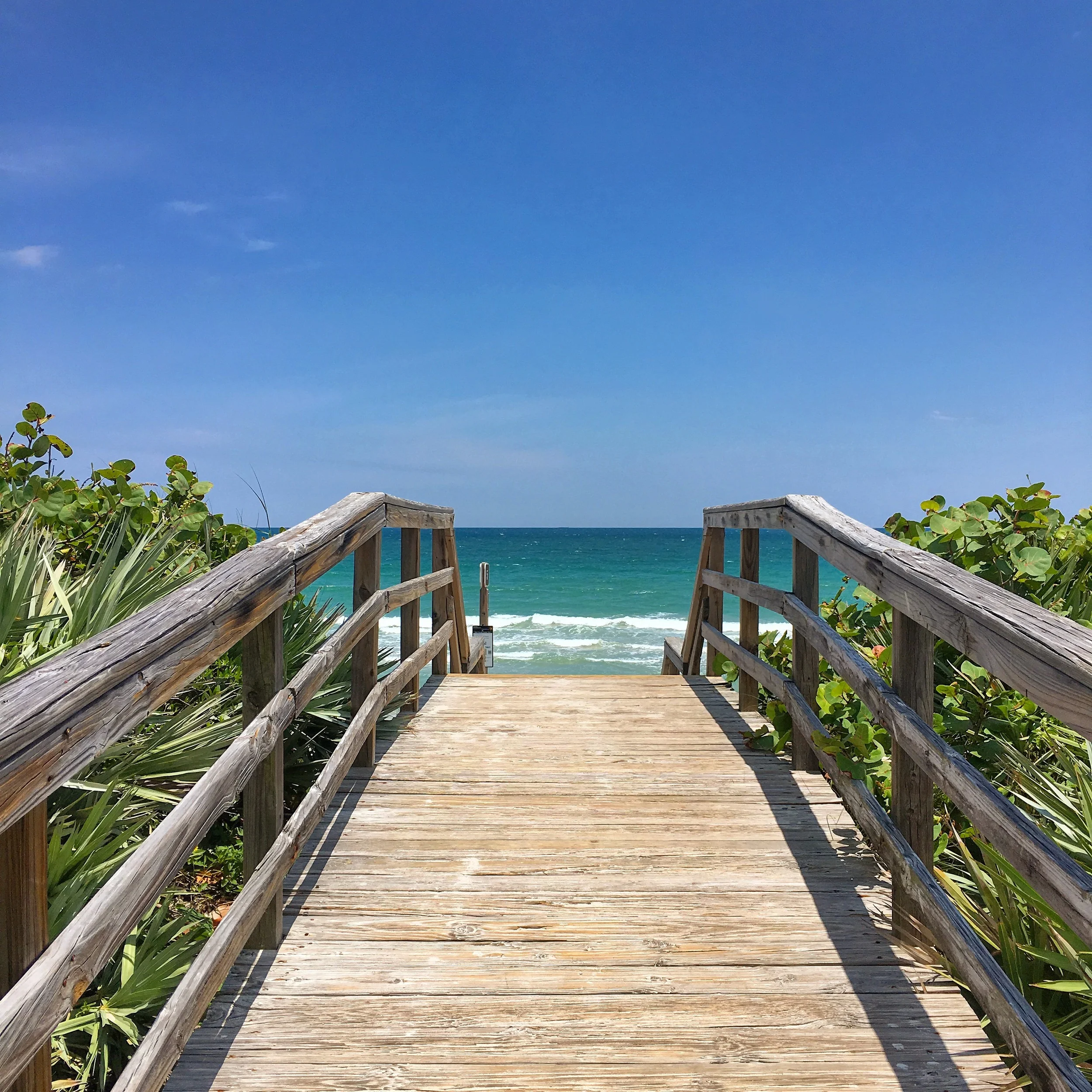 Canaveral National Seashore.