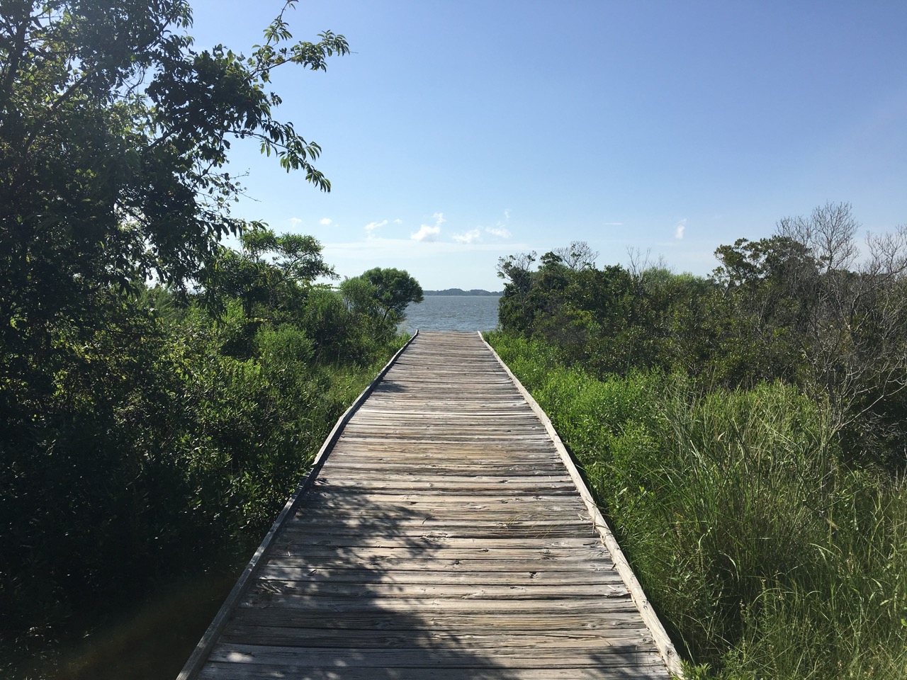 Many of the trails, like this one at Bayside, have boardwalks.