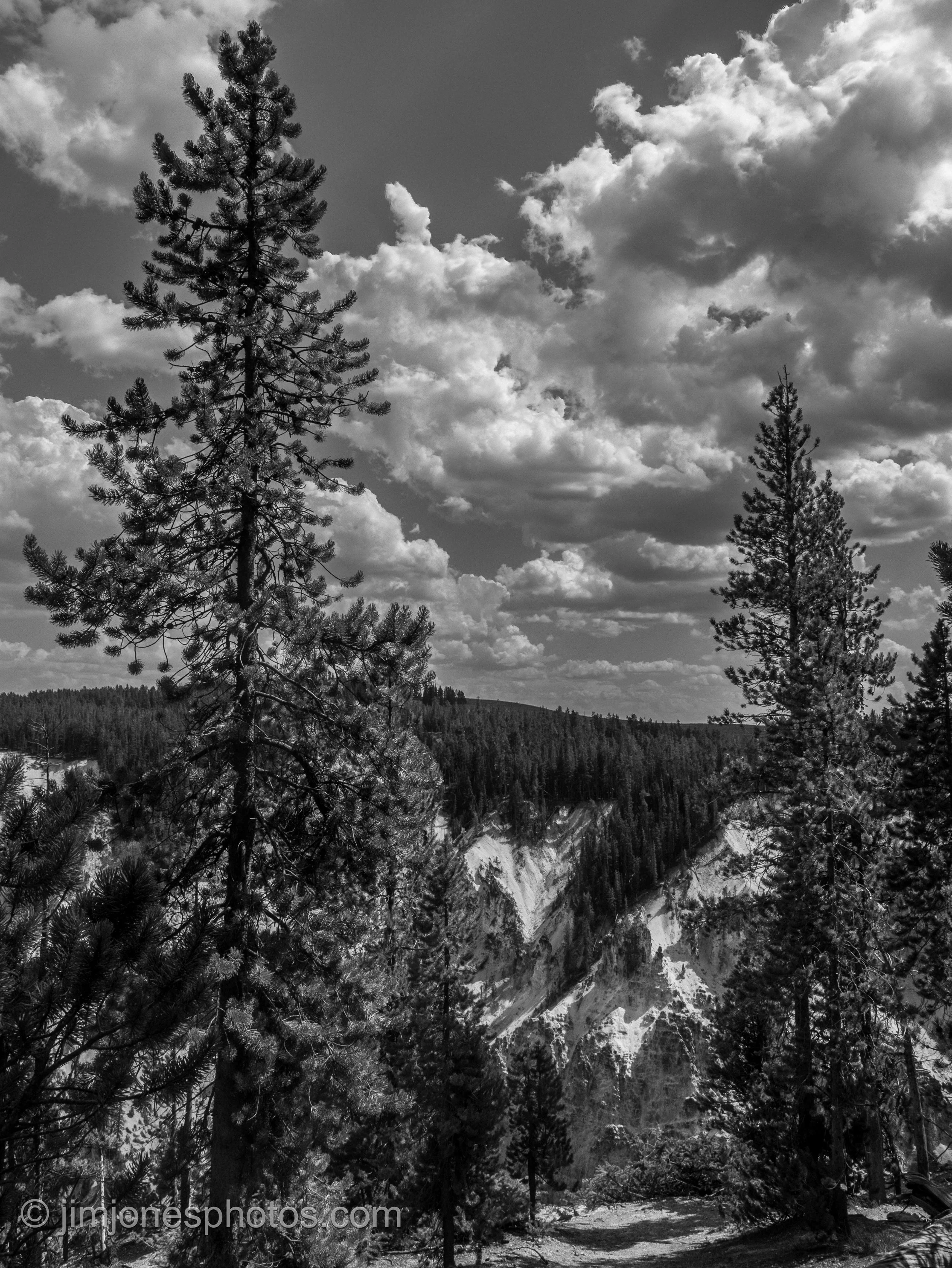 There are some scenes that just beg to be captured in black and white. This was shot on the northern trail along the Grand Canyon of the Yellowstone in mid-afternoon. Cloud-filled skies and striking shapes and shadows build a very visually appealing