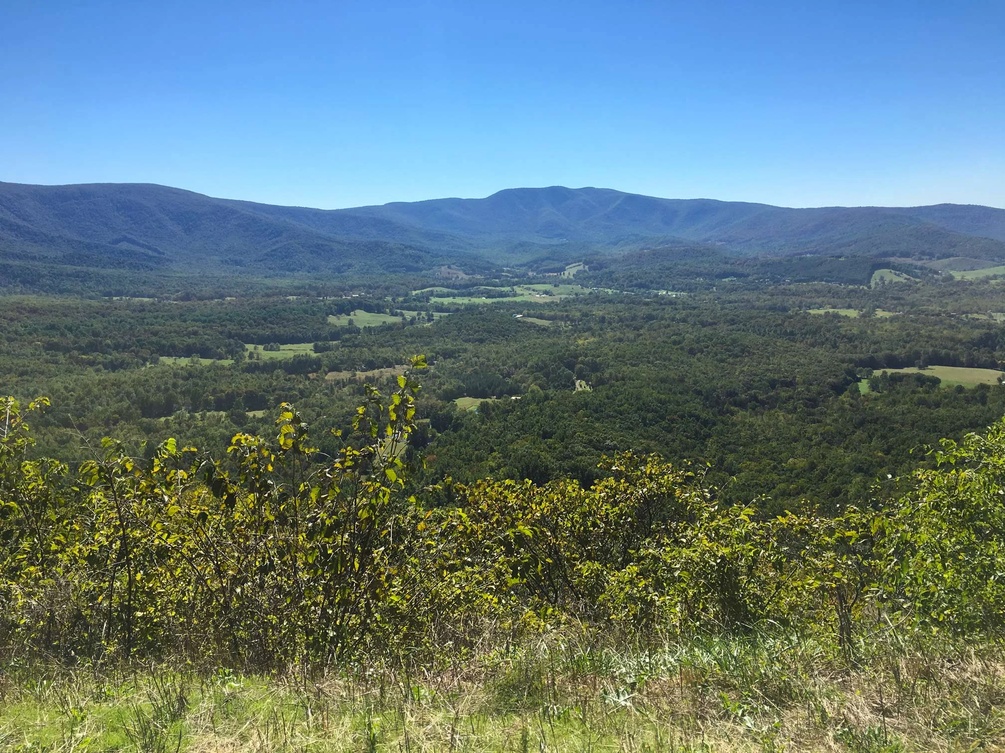 Valley views from lower elevation at Dickey Ridge.