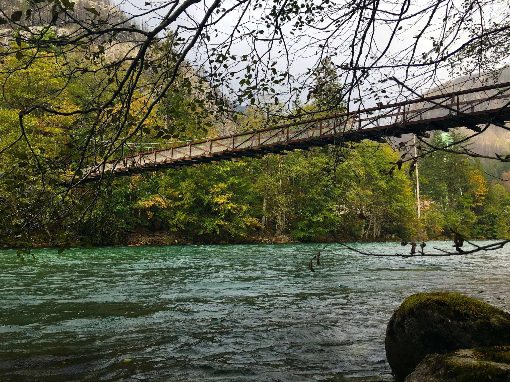 Trail of Cedars bridge, photo by Derek Wright.