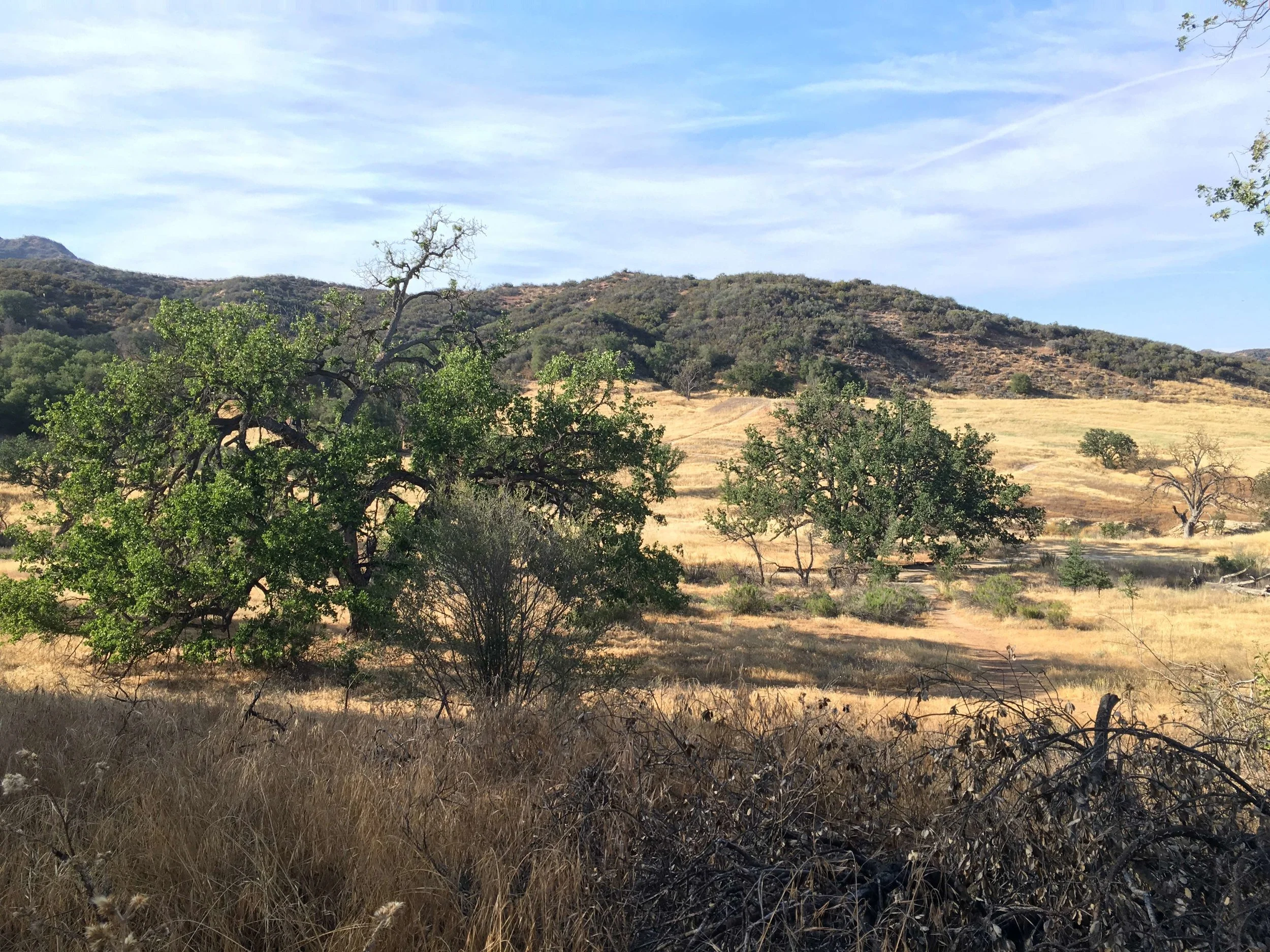 The Paramount Ranch, part of Santa Monica National Recreation Area, photo by Amy Beth Wright.