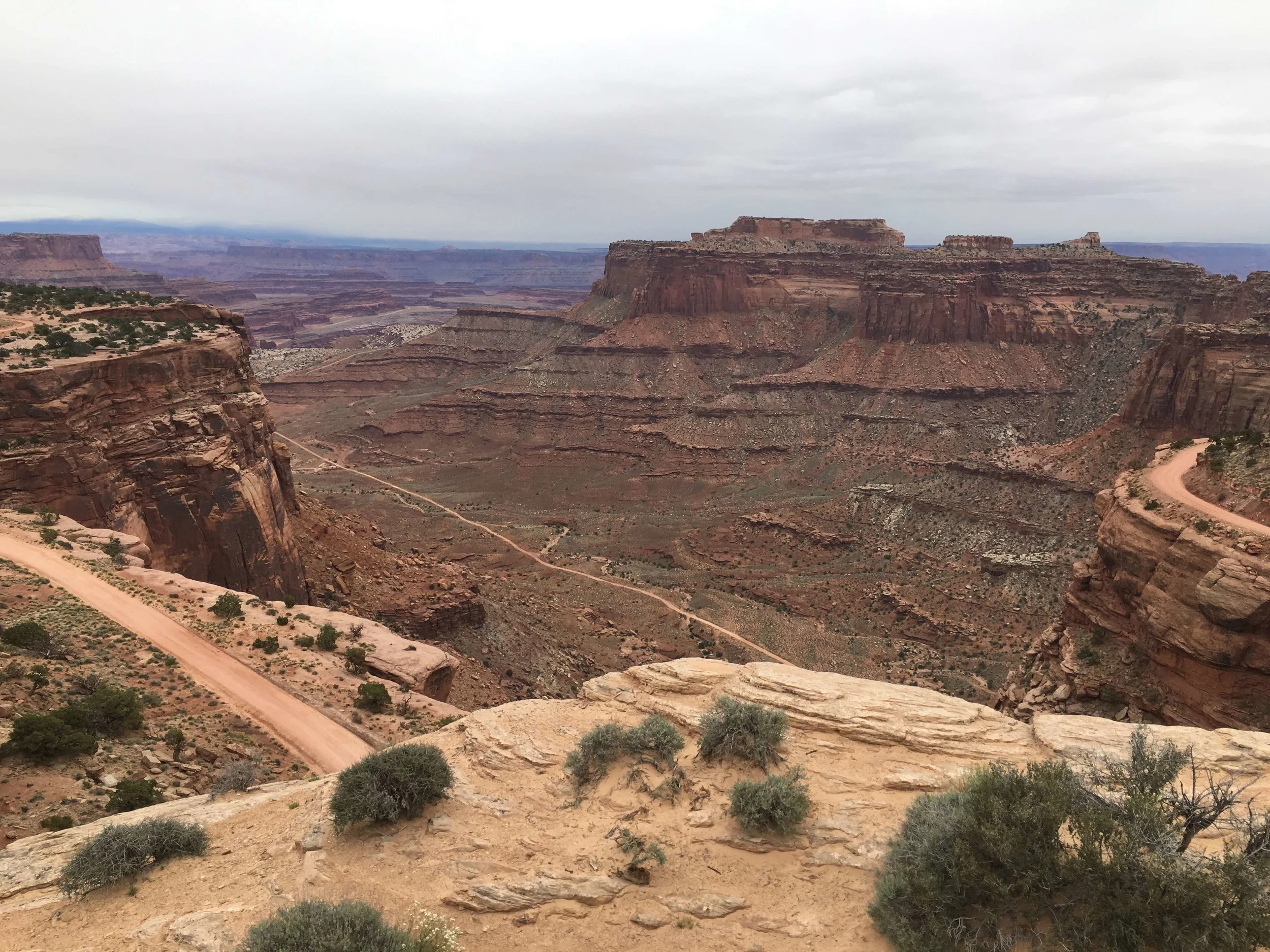 Canyonlands National Park, photo by Amy Beth Wright.