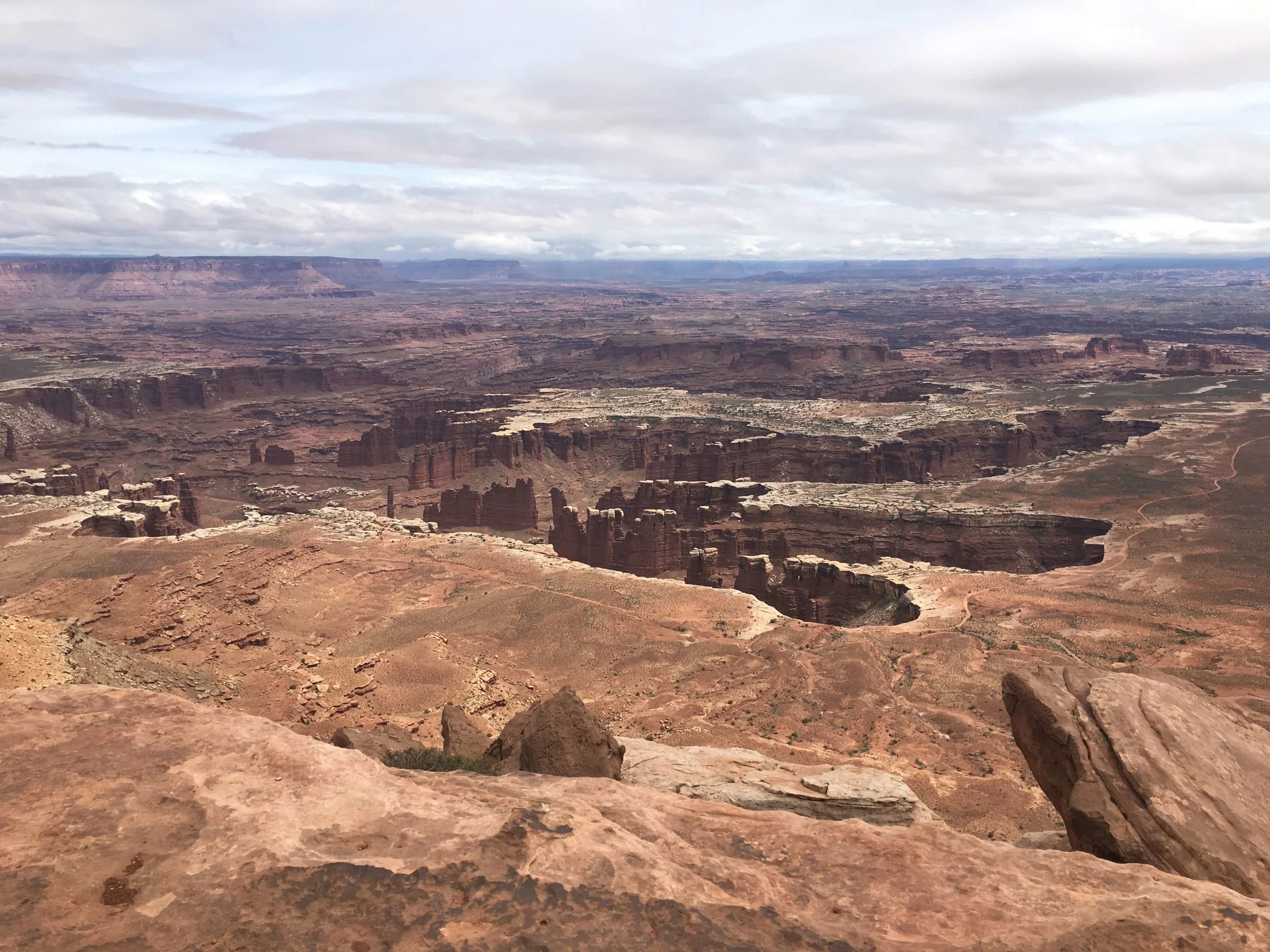 Canyonlands National Park, photo by Amy Beth Wright.