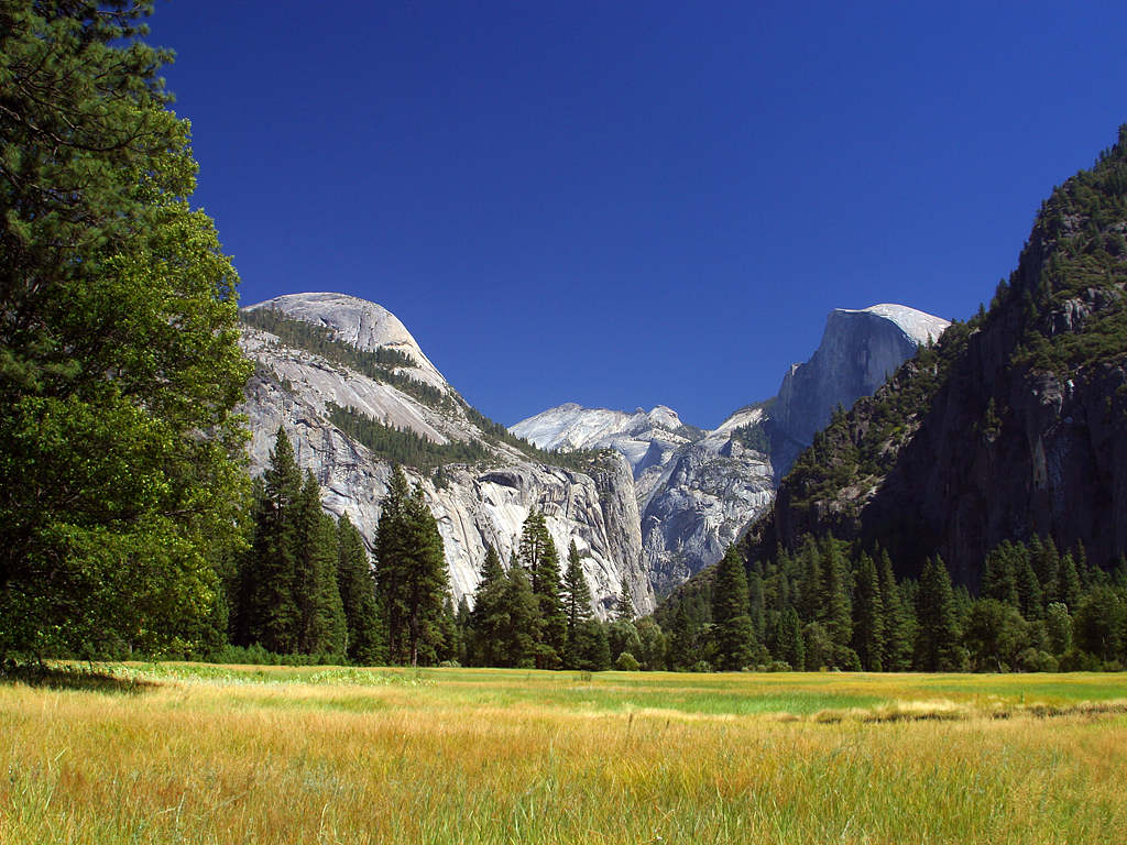 Photo by David Liu / CC BY .