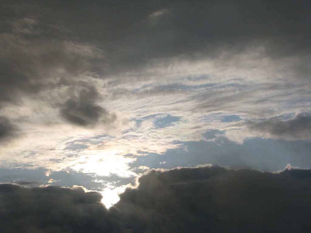 3771045433_ea09c9f7b6_b.jpg