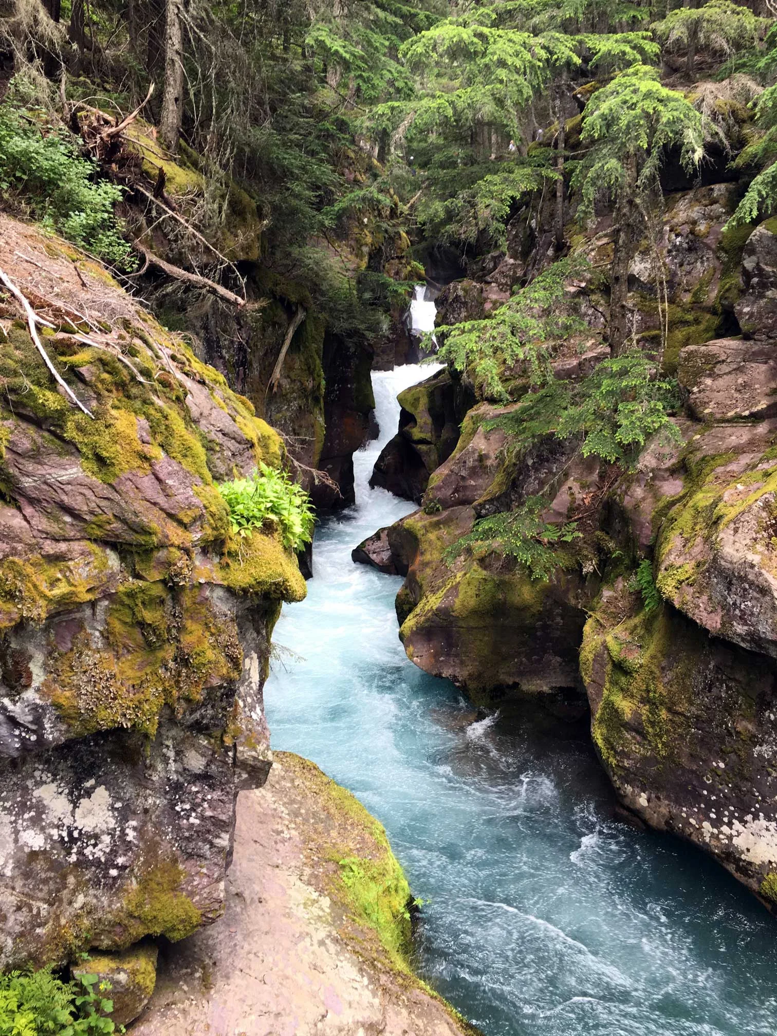 Mountain stream along the John's Lake Loop.
