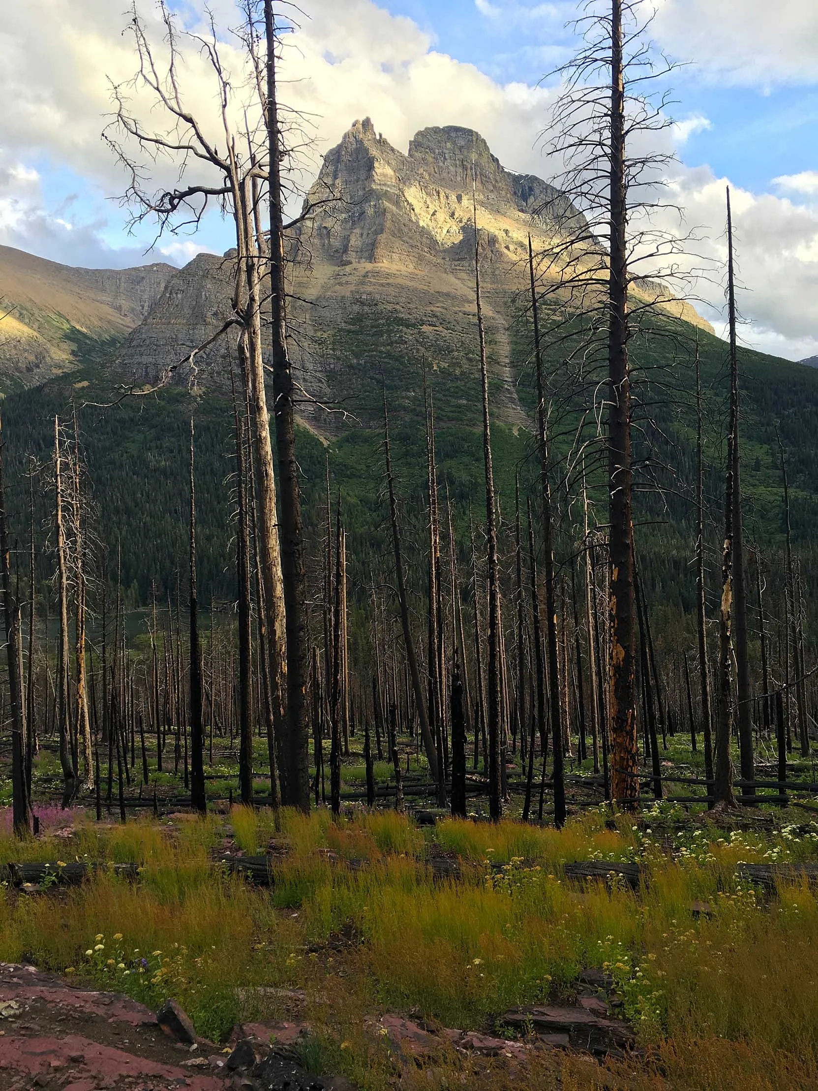 Mountain views near St. Mary Falls.