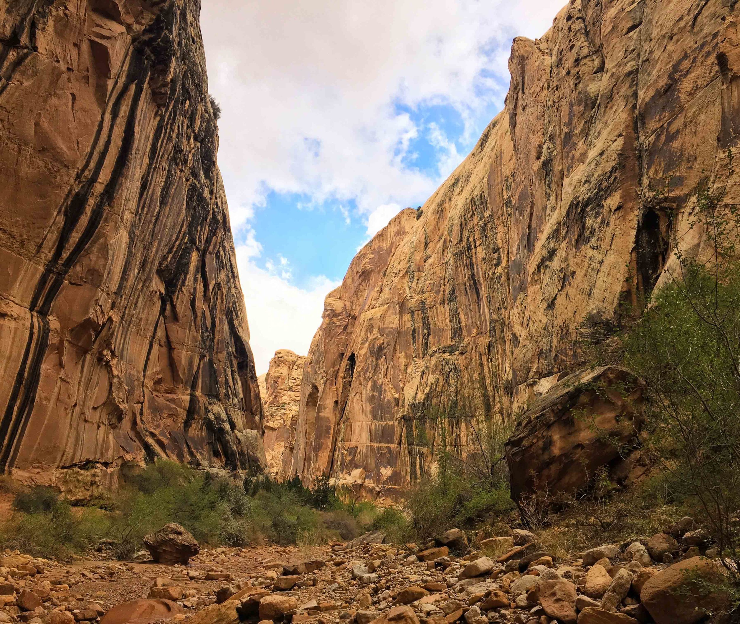 Capitol Reef National Park