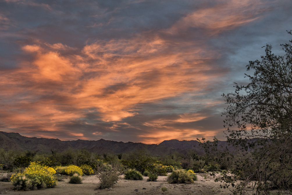 Anza-Borrego Desert State Park, photo by John Fowler / CC 2.0