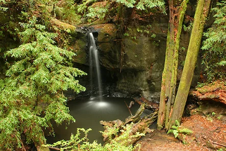 Sempervirens Falls, Big Basin Redwoods State Park, photo by H. Grimes / CC 2.0