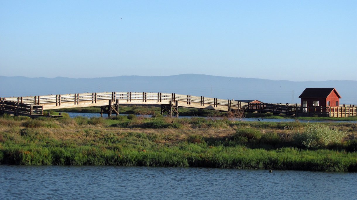 Don Edwards San Francisco Bay Wildlife Refuge, photo by Helen Gordon / CC 2.0