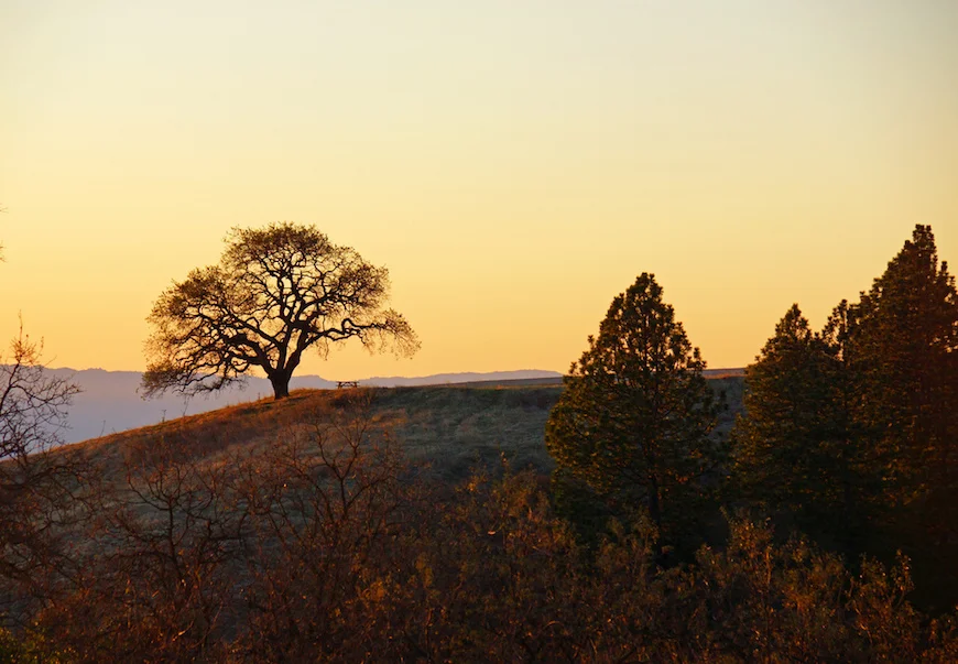 Henry W. Coe State Park, photo by Allie_Caulfield / CC 2.0