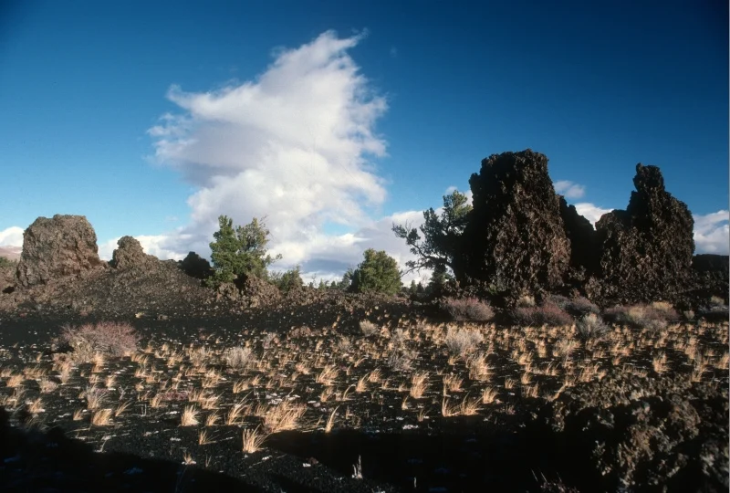 Devil's Orchard, photo courtesy National Park Service.