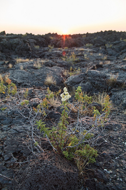 Caves Area Trail, photo courtesy National Park Service.