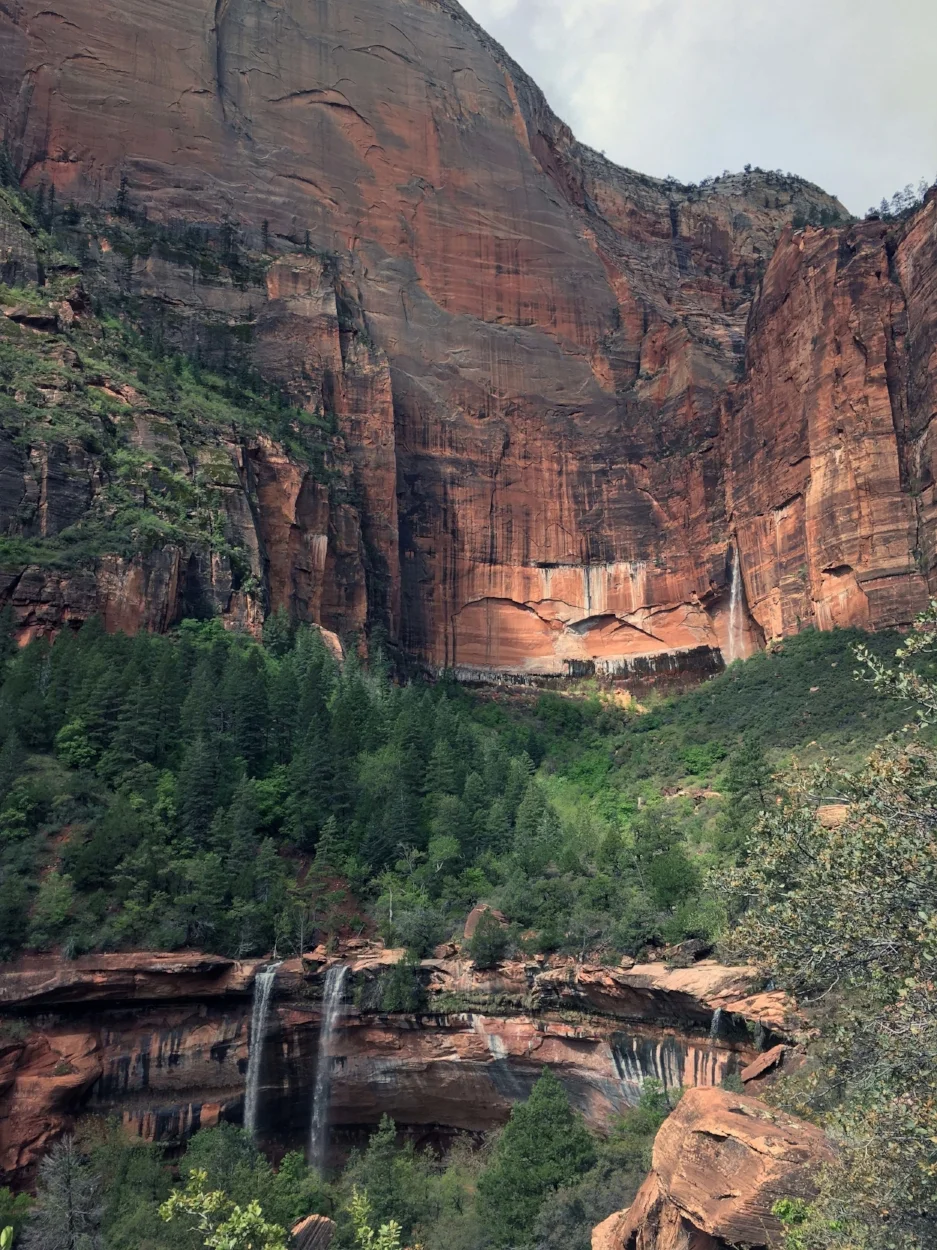 Zion9.jpg