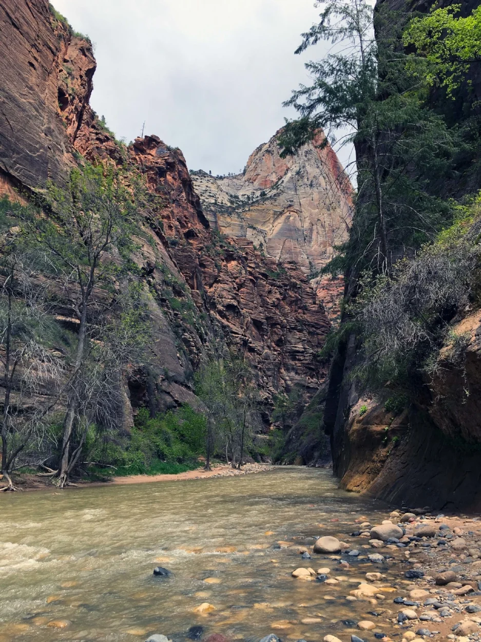 Zion20.jpg