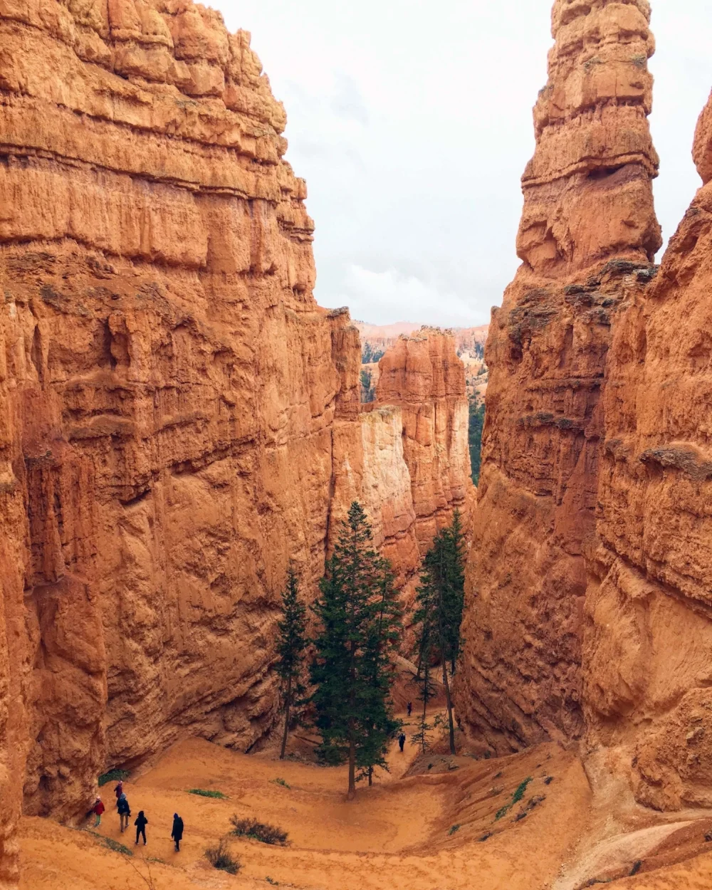 Bryce10.jpg