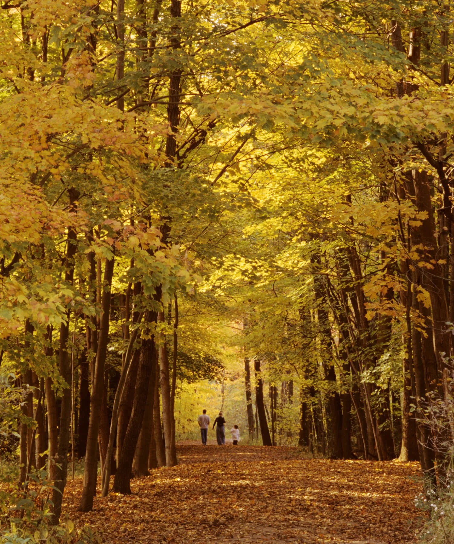 Ohio(1).jpg