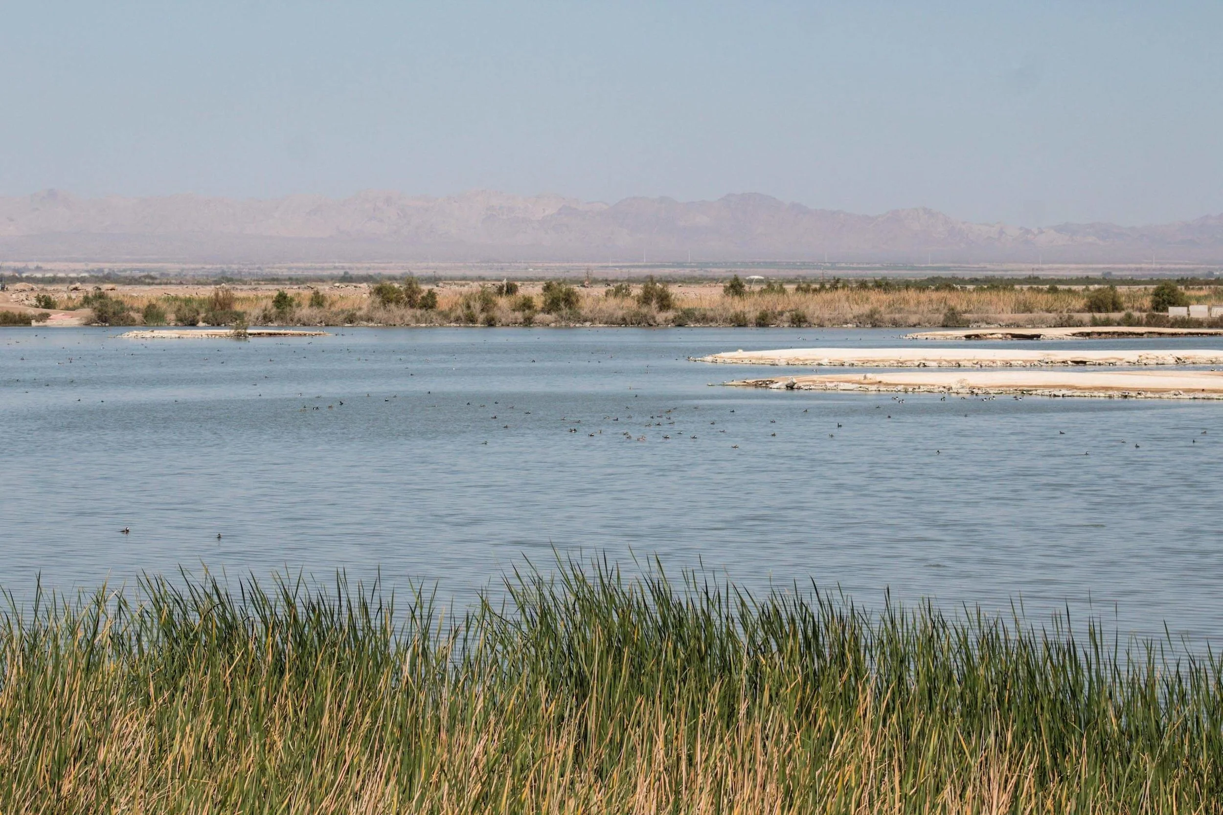Zoom in on those birds with your binoculars!