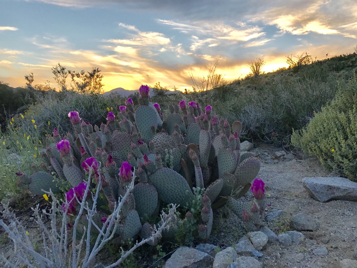 Our Recommendations for State Parks to Explore