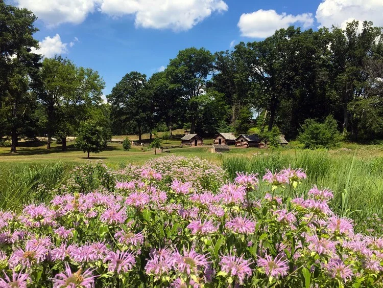 Valley Forge, Beauty and History in Equal Measure