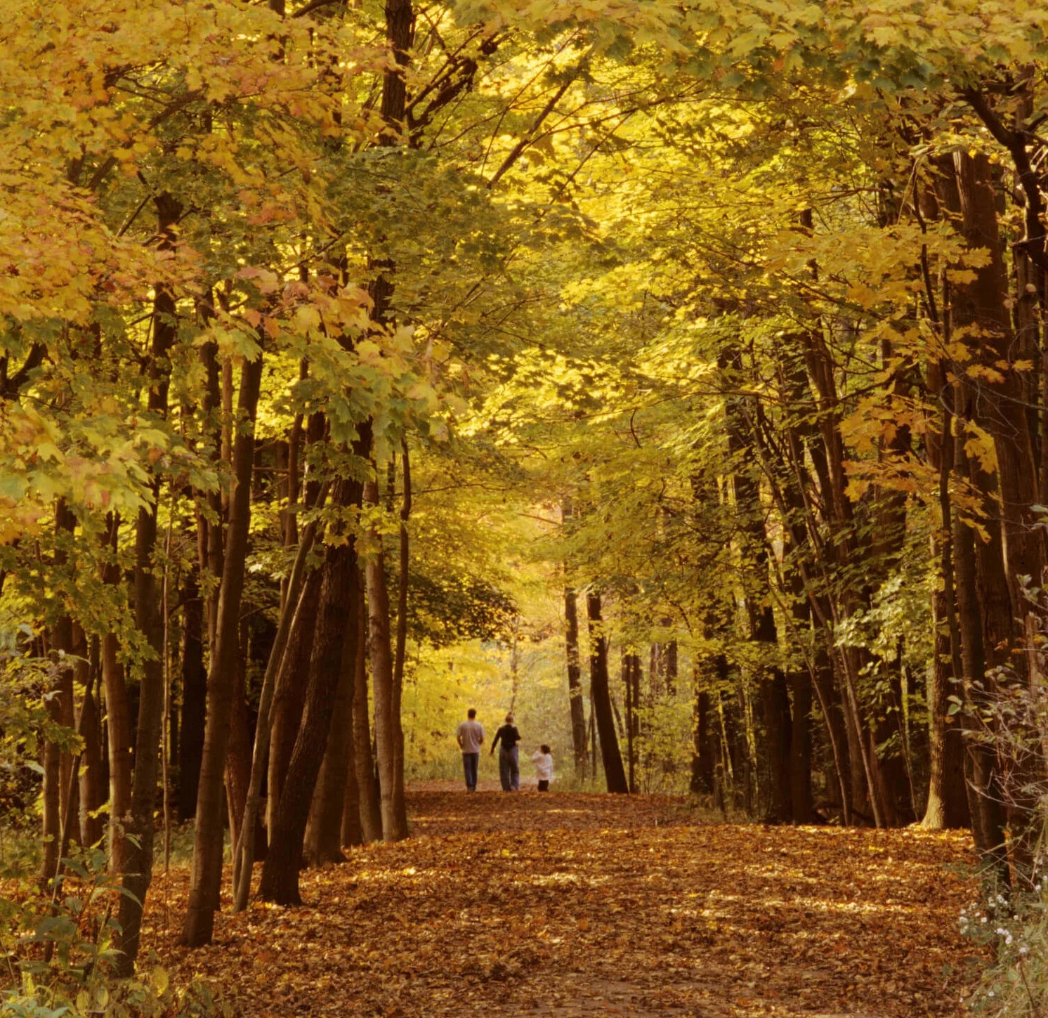 Explore All Nine NPS Sites in Ohio
