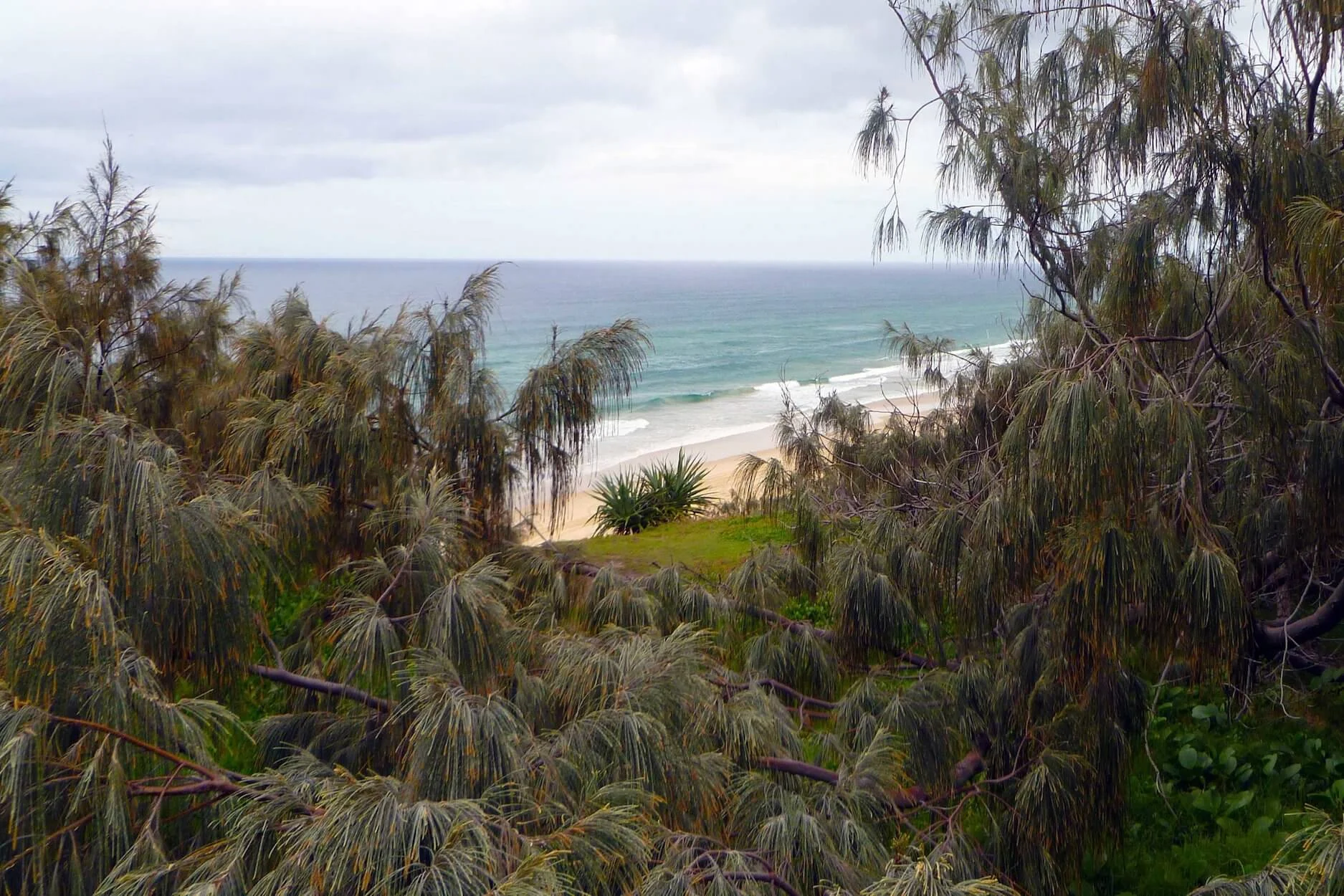 Enigmatic Fraser Island