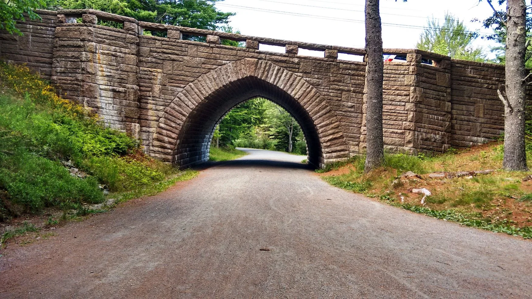 A Look at Accessibility in National Lands.jpg