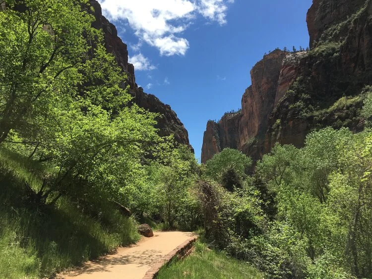 Hike With Us Through Utah's 5 National Parks