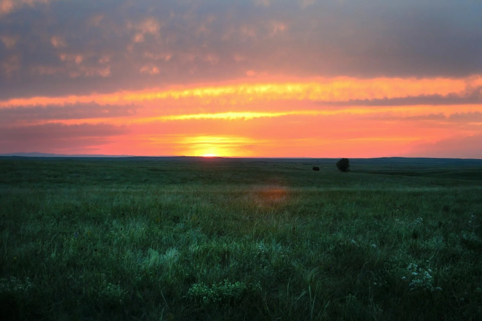 IMG_7395.jpg