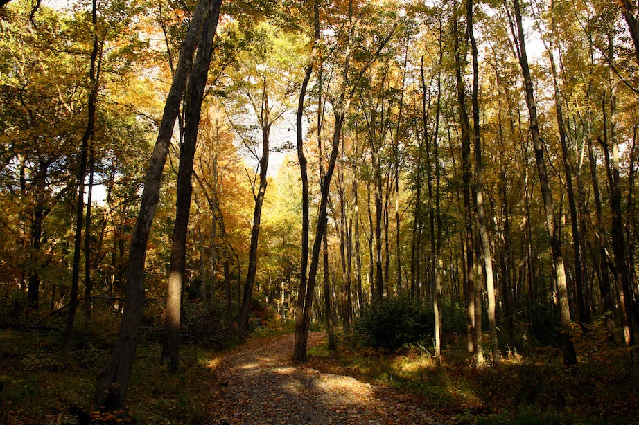 Kentucky in the fall, photo by Carolyn Sugg / CC BY 2.0