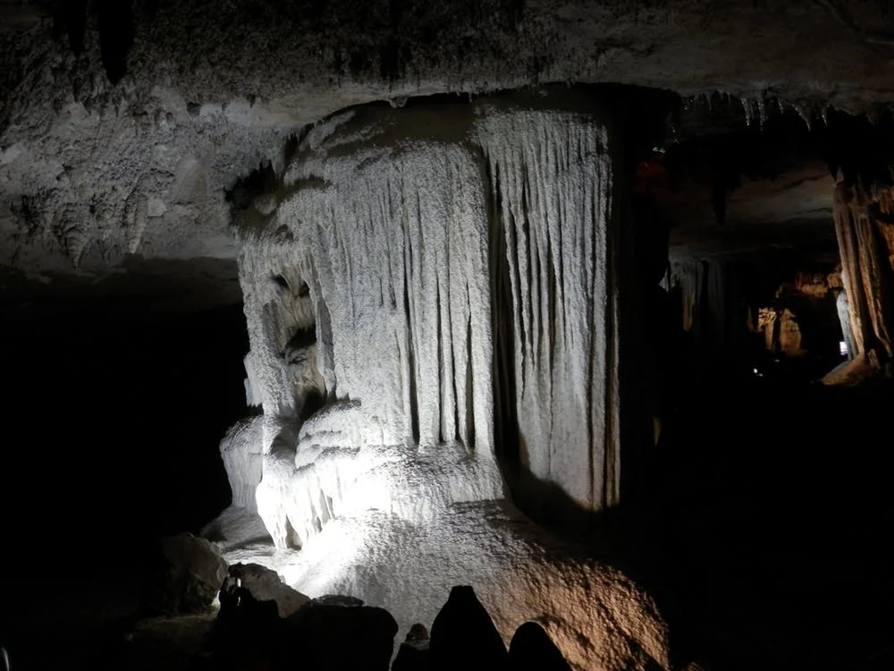 Girl Scout Field Trip to Bluespring Caverns.jpeg