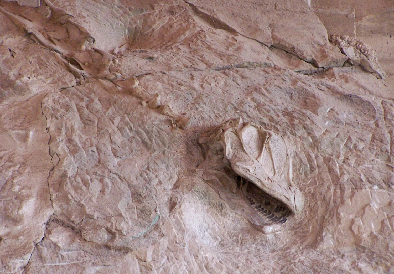Badlands National Park Dinosaurs