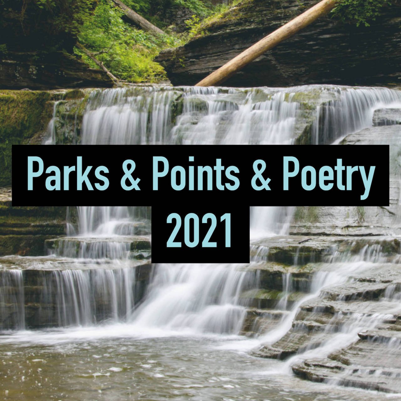 Poetry 2020(1).jpg