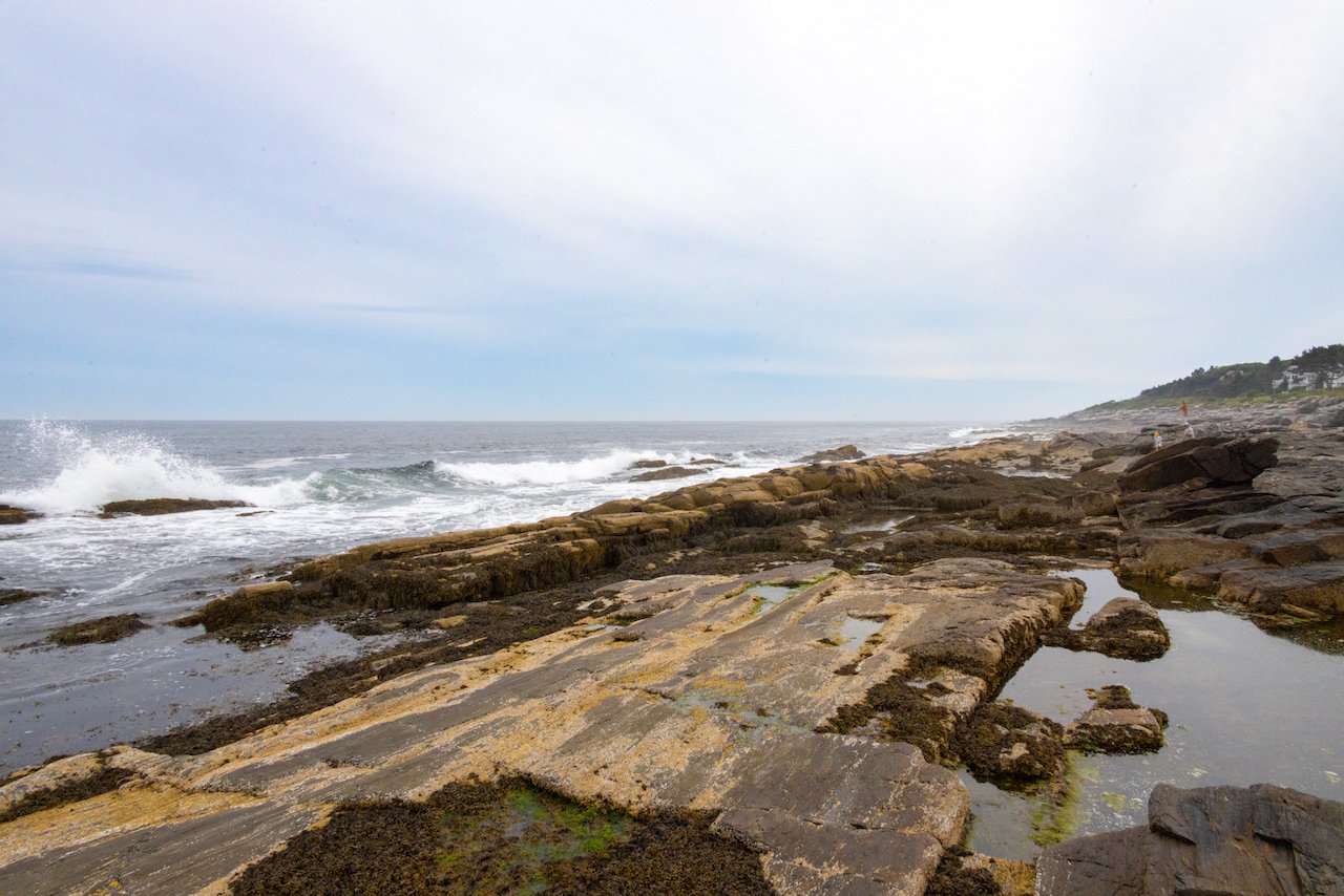 Tide Pool by F.I. Goldhaber