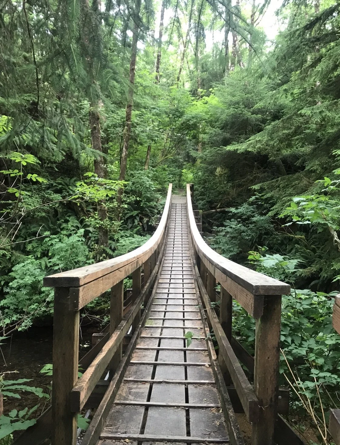 suspension bridge at oswald.jpg