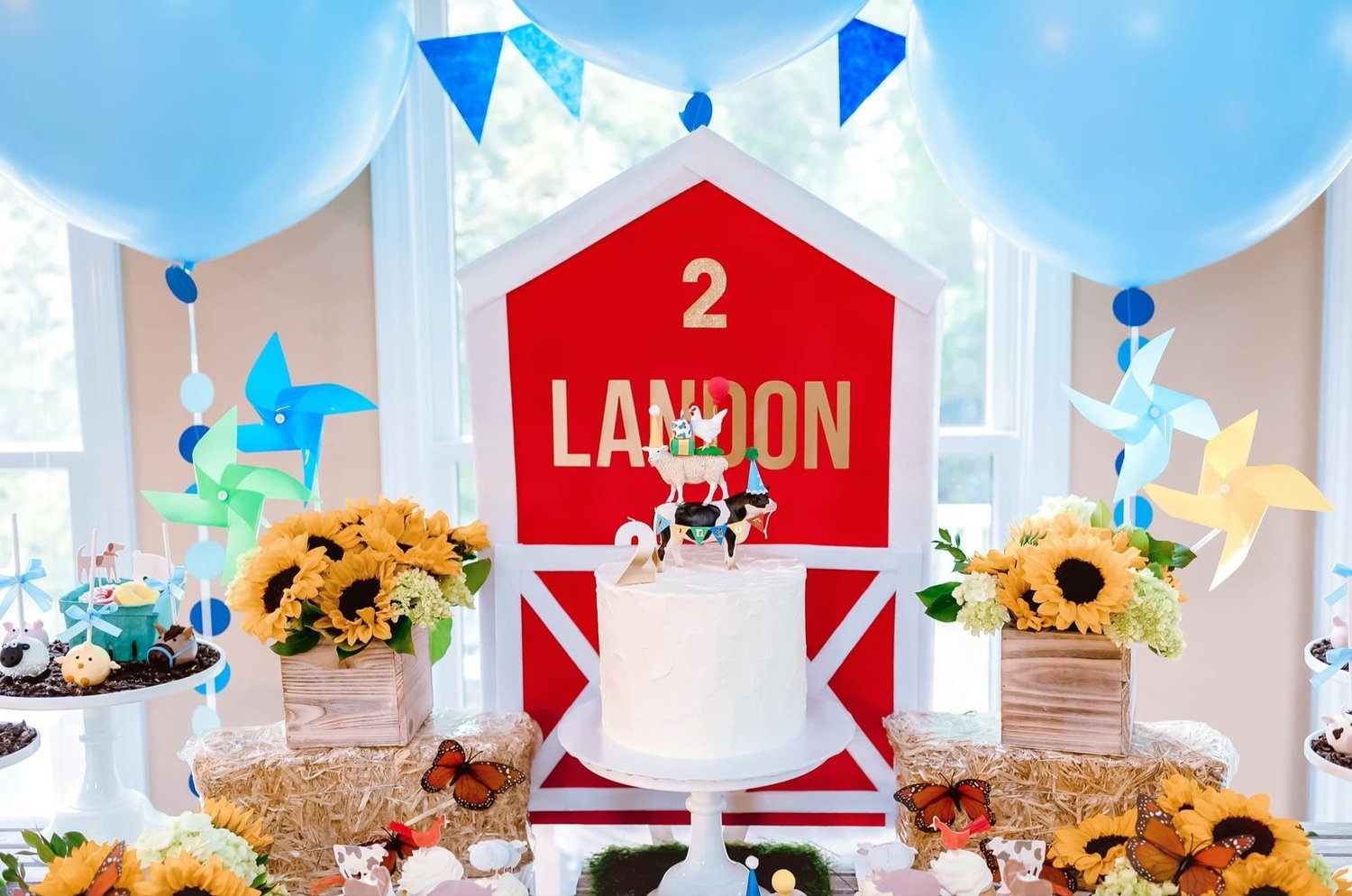 LANDON'S 2ND BIRTHDAY