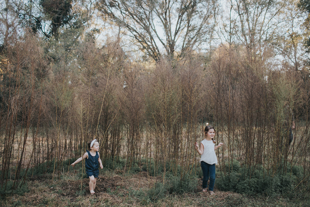 florida family photographer field pinellas county largo_22.jpg