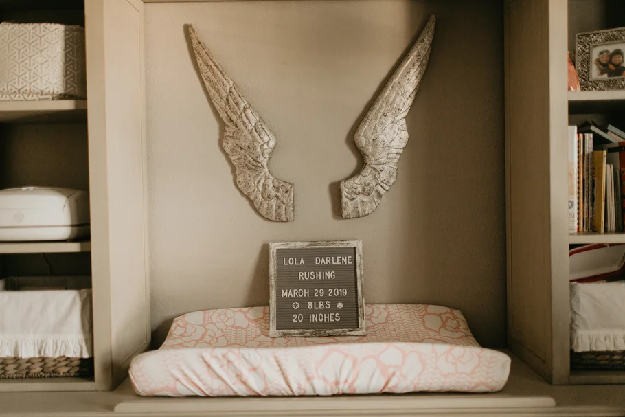 Lola South Tampa At Home Newborn Session Tampa Wedding