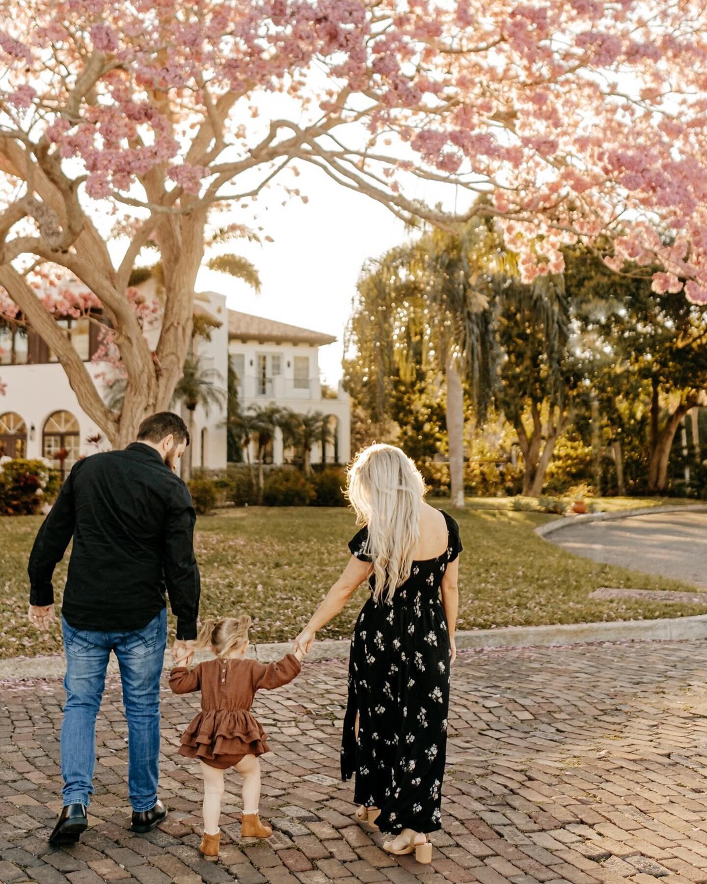 Spring is coming! 🌷✨ 

#floridafamilyphotographer #stpetersburgflorida #clearwaterbeachflorida #stpetefamilyphotographer #clearwaterfamilyphotographer #sarasotafamilyphotographer #floridaliving #stpetemoms #tampaflorida #tampamoms