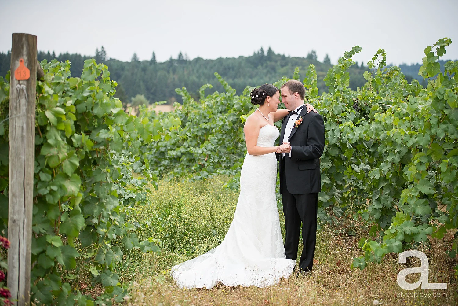 Zenith-Vineyards-Wedding-Photography_0011.jpg