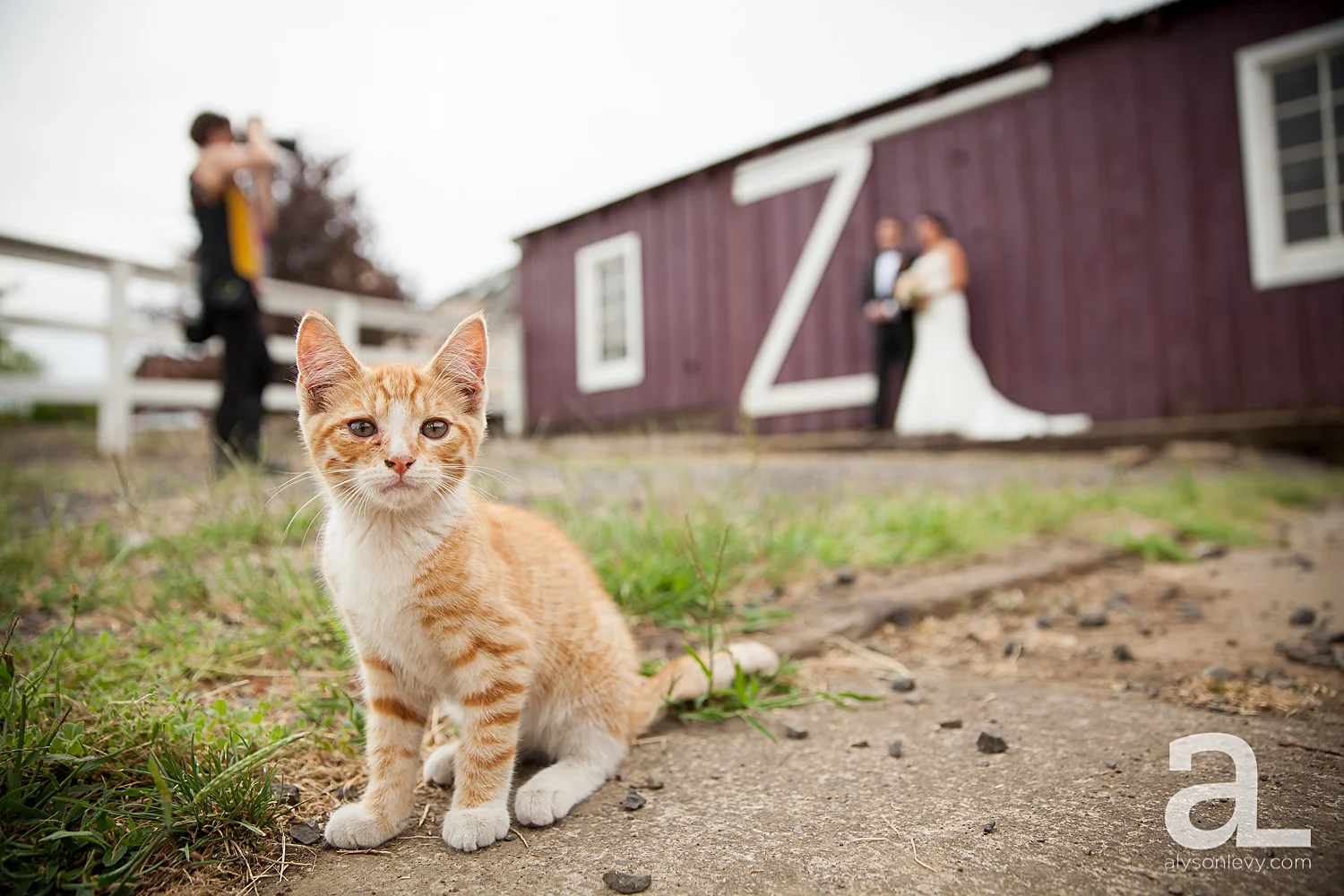 Zenith-Vineyards-Wedding-Photography_0020.jpg
